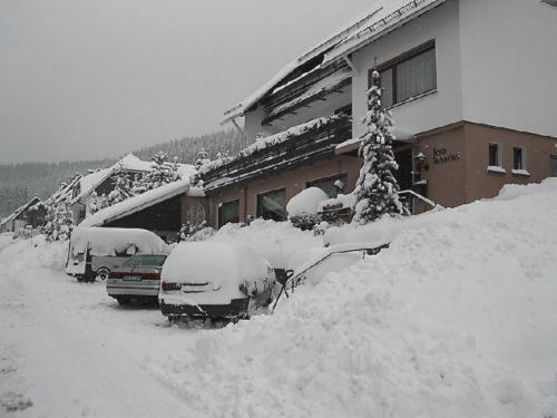 Haus Hubertus Otel Winterberg Dış mekan fotoğraf