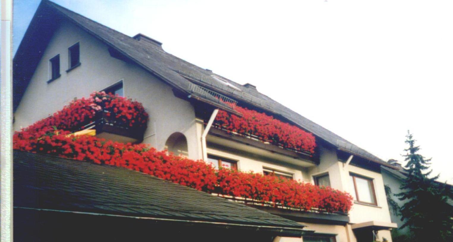 Haus Hubertus Otel Winterberg Dış mekan fotoğraf